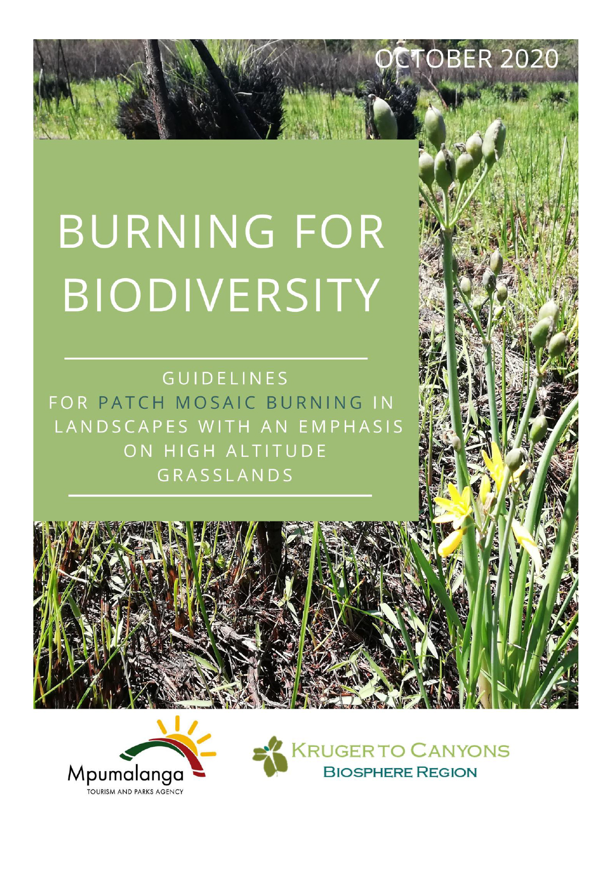 Burning for Biodiversity